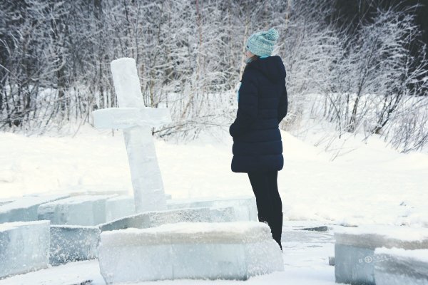 Изольда. Вечерняя прогулка в Подмосковном лесу