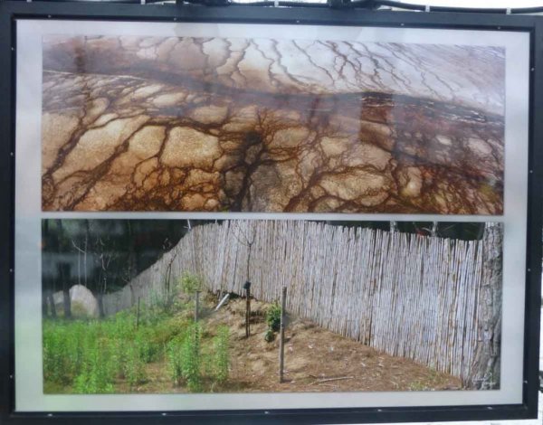 "Ассиметрия"