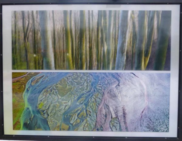 "Деревья и реки"