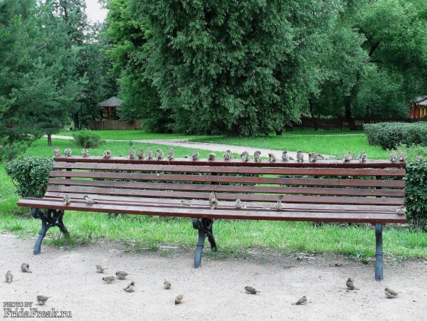 Тусовка Тусовка