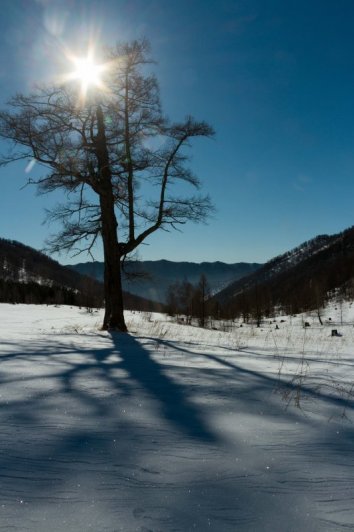 IMG_4065-2
