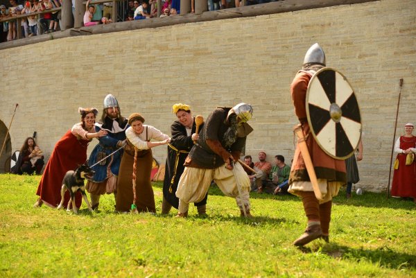 12 - Кошка за Жучку, ...