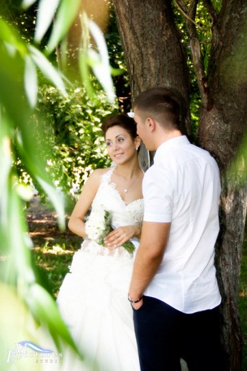 в парке у дерева на свадьбе в парке у дерева на свадьбе