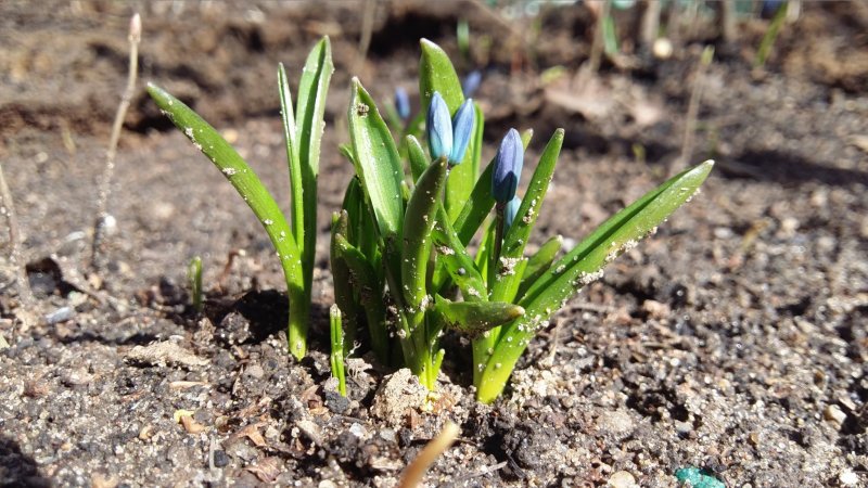 PHOTO_20170409_123915