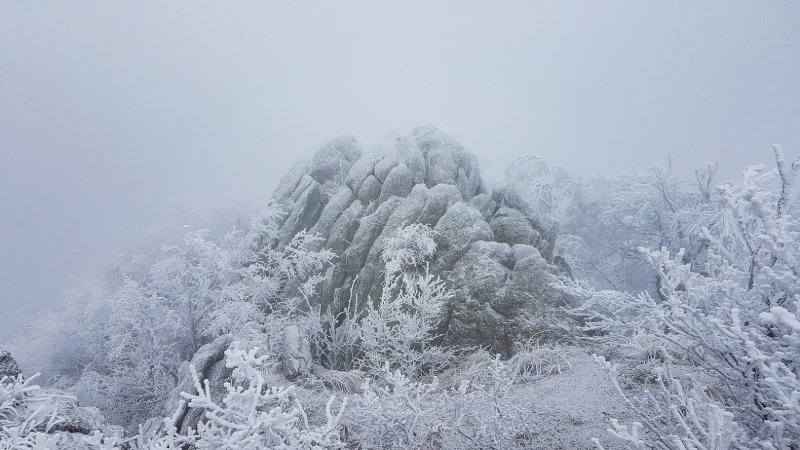 20190209_102047 20190209_102047