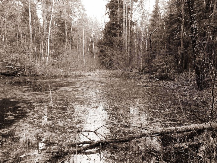 Тропой нежитей