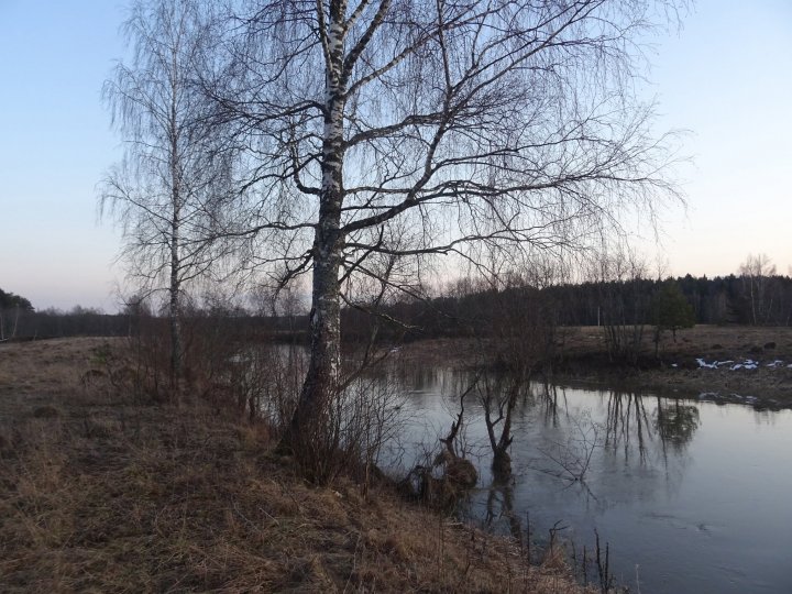 Река Молокча Река Молокча