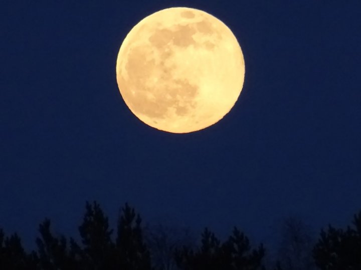 Полнолуние Полнолуние