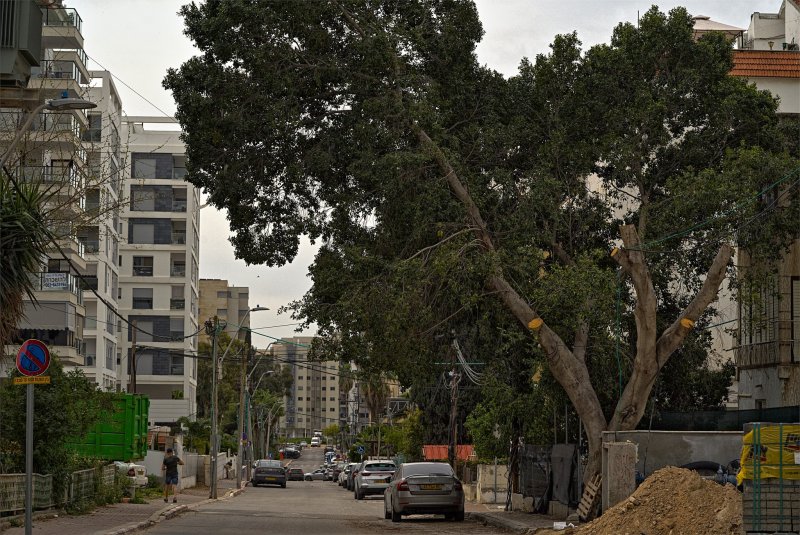 Путешествия в Израиле Путешествия в Израиле