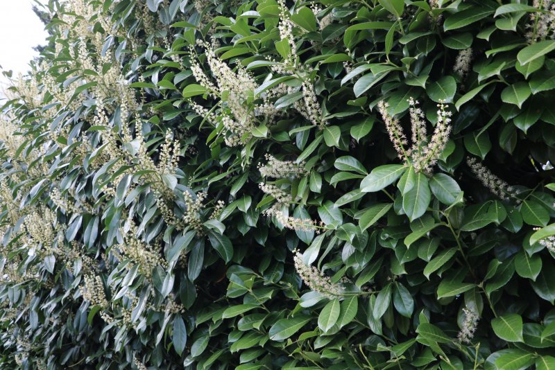 20240402190913_IMG_0122