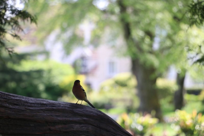 20240413151307_IMG_0303