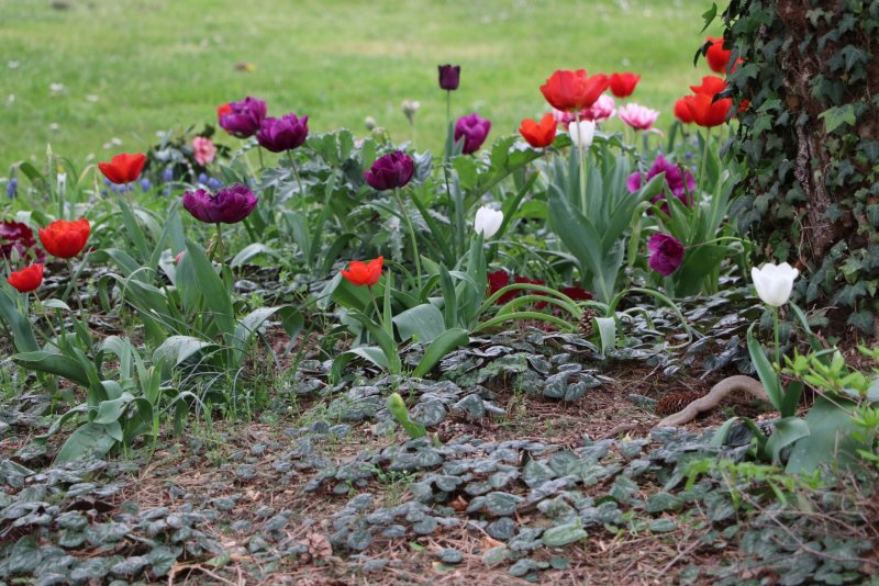 20240407182633_IMG_0164