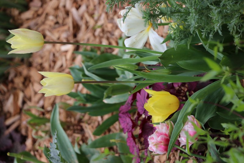 20240407182140_IMG_0162