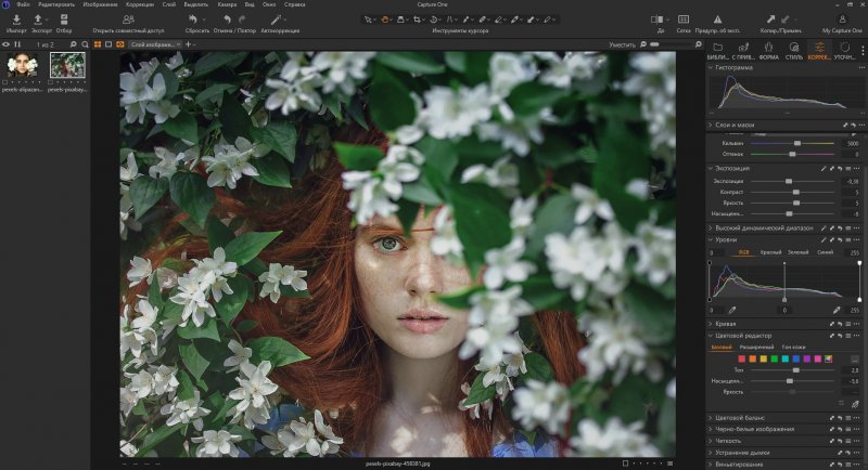Топ-15 аналогов Photoshop для Mac OS - №8 Топ-15 аналогов Photoshop для Mac OS - №8
