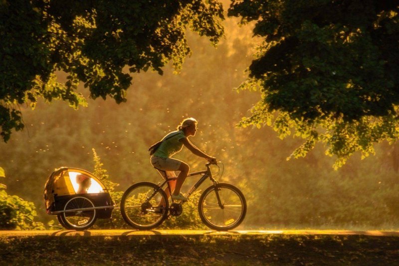 Что такое контровой свет в фотографии и как его применять - №5