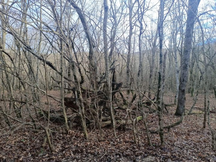 Путешествие на Собер