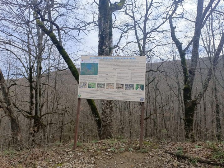 Путешествие на Собер