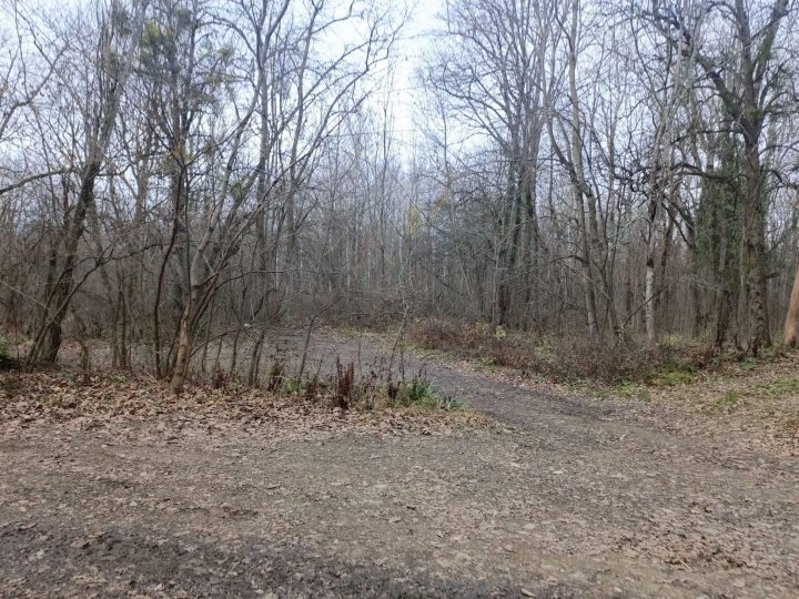 Путешествие на Собер