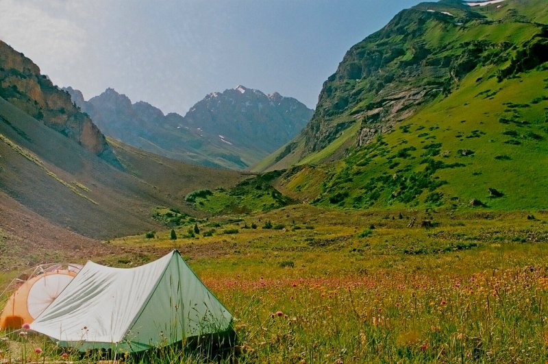 100811000009200023с