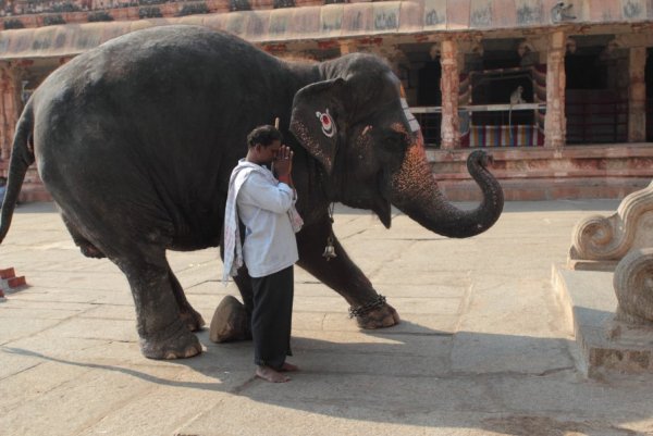 Вадим Лячиков