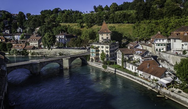 Владимир КРИВЕНКО