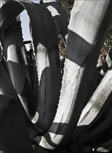 Людмила Синицына