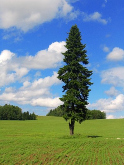 canon a70 2 canon a70 2