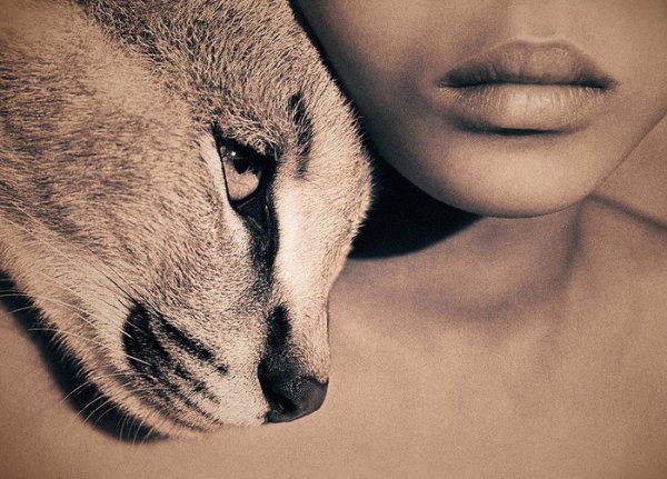 99538382_0_c2182_497b2ab8_XLjpg