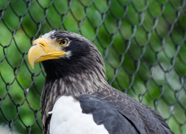 Покритикуйте фото - №3