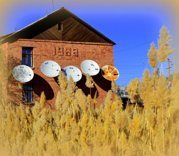 YEL15uyGjbE