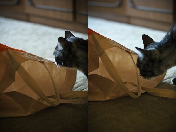 Приключение Джеки - №2 Приключение Джеки - №2