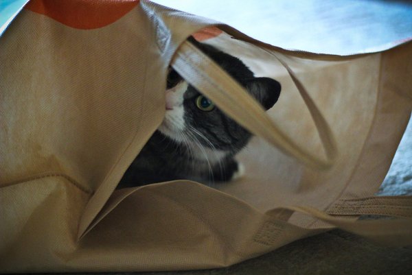 Приключение Джеки - №8 Приключение Джеки - №8