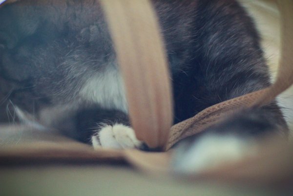 Приключение Джеки - №20 Приключение Джеки - №20