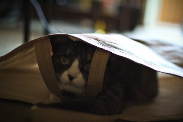 Приключение Джеки - №24 Приключение Джеки - №24